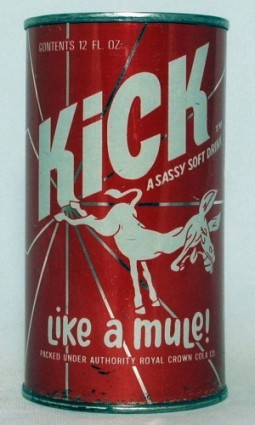 Kick photo