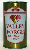Valley Forge photo
