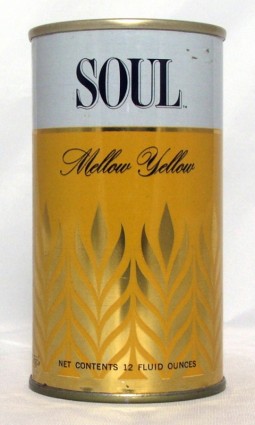 Soul Beer photo