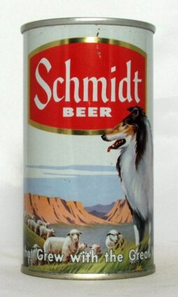 Schmidt (Collie) photo